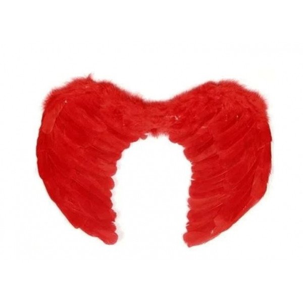 Asa Anjo pena Vermelha 40x60