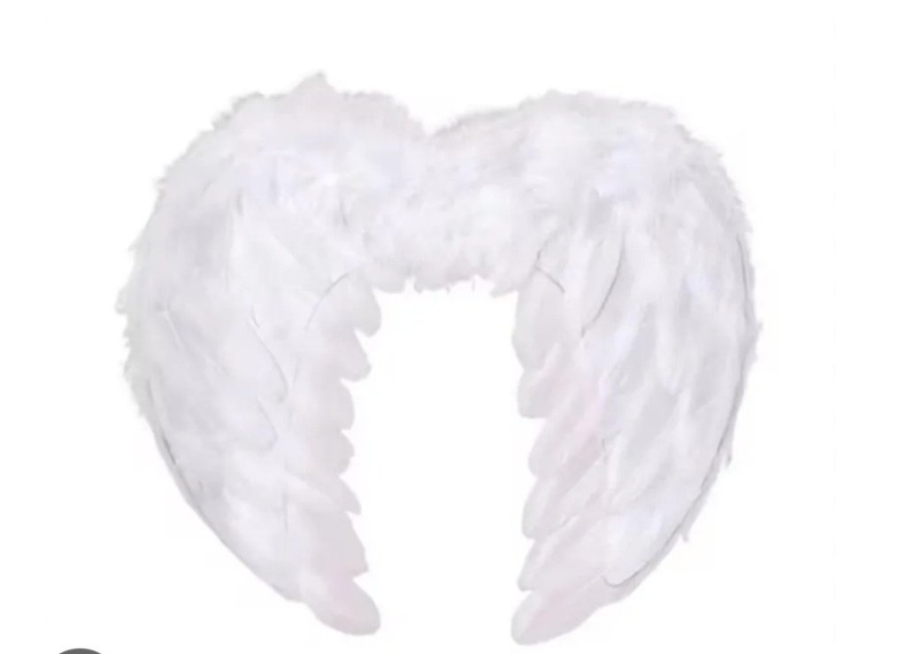 Asa Anjo pena Branca 40x60