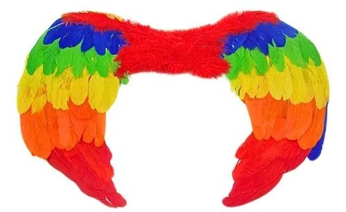 Asa Anjo Pena Colorida 40x60