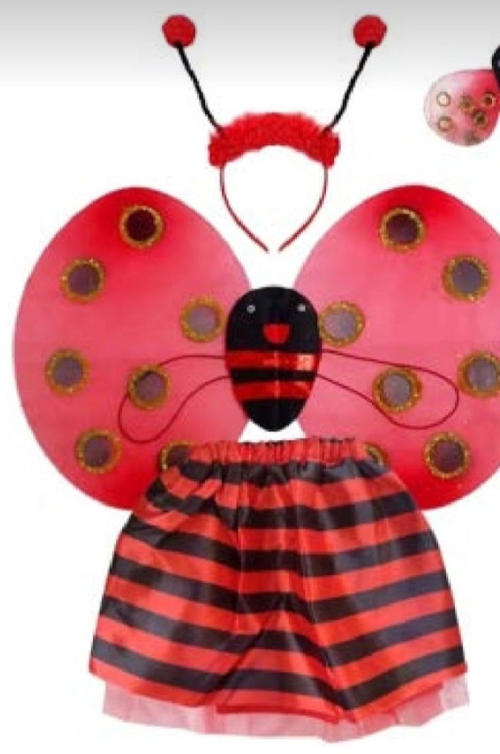 Fantasia Joaninha Saia e Asa