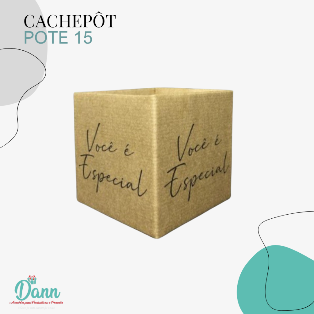 CACHEPO PAPER POTE 15 KRAFT VOCÊ É ESPECIAL QUAD COM C/10 REF REF 2968