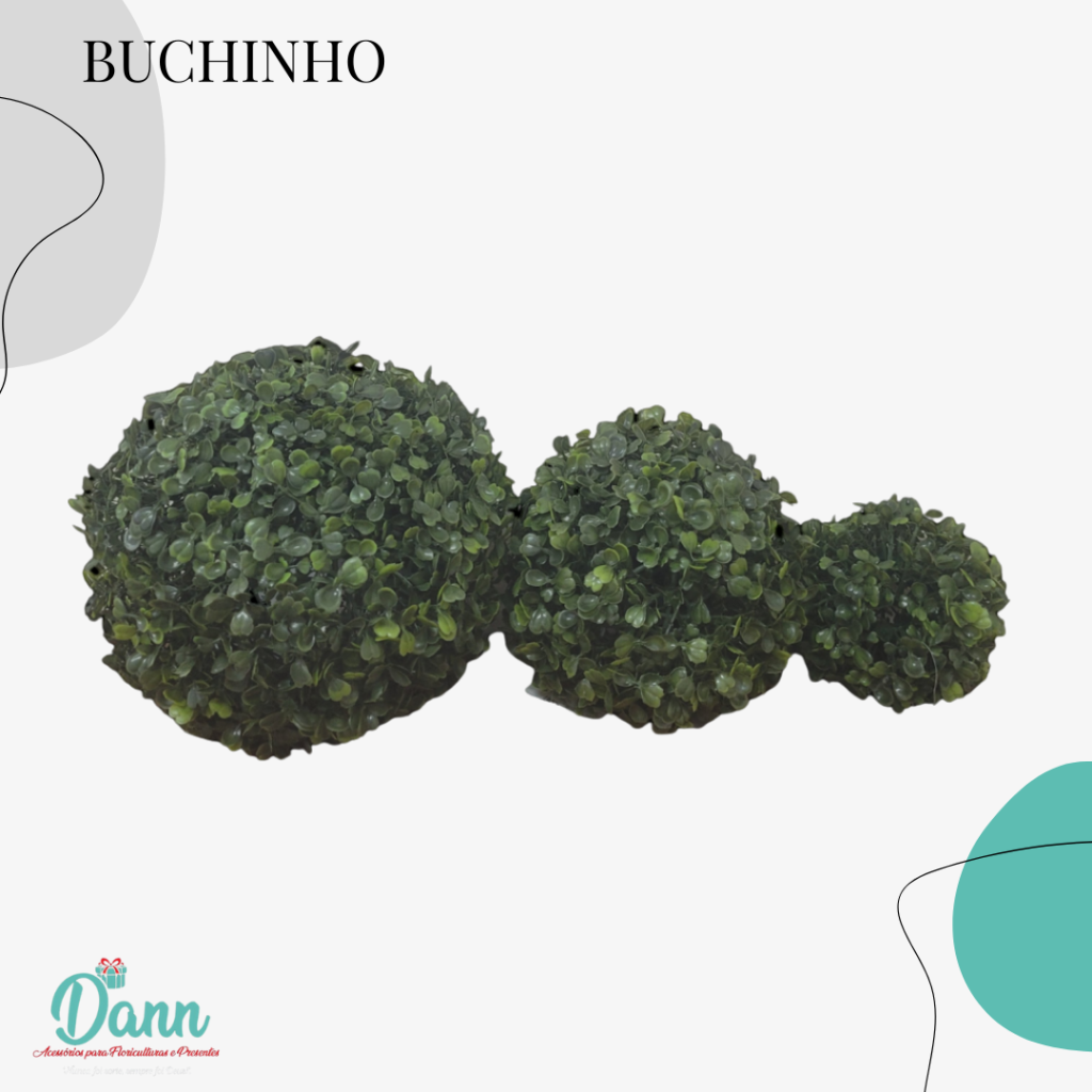 BUCHINHO 