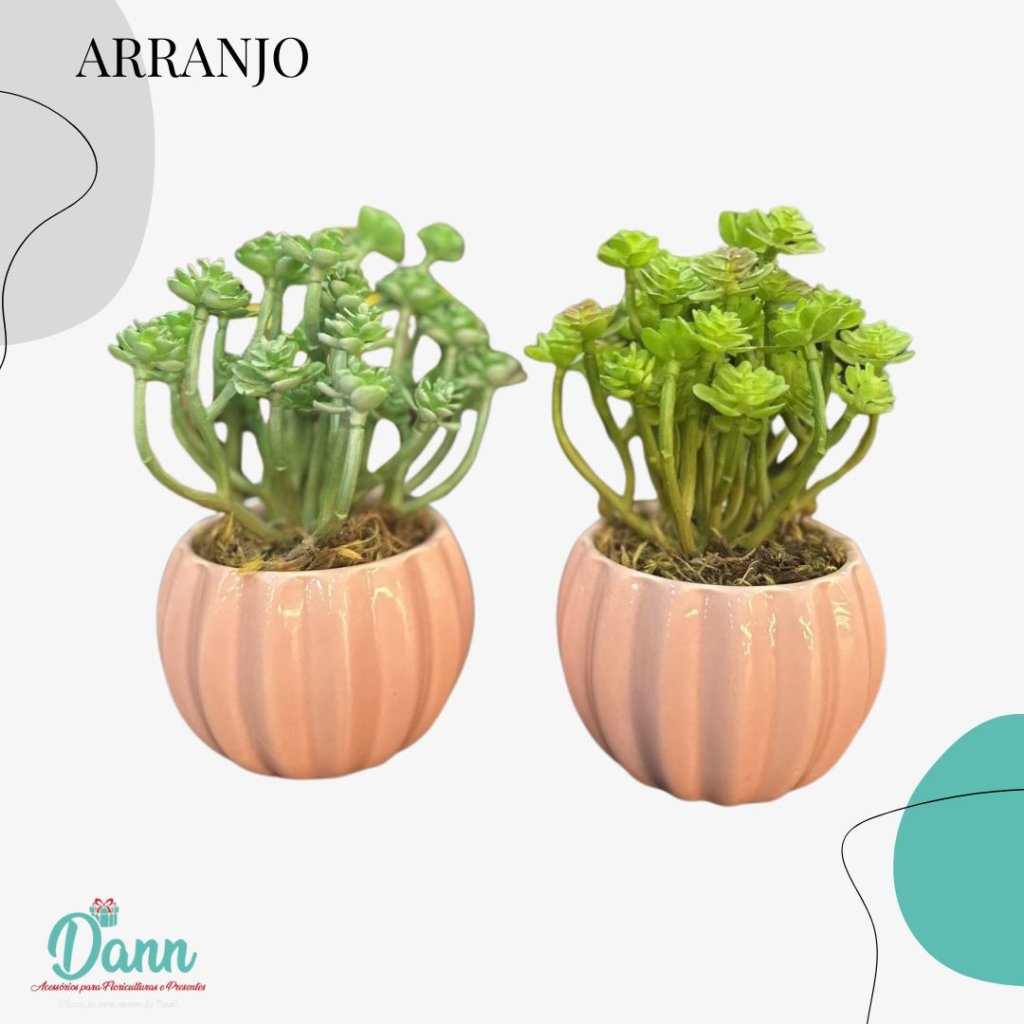 VASO CERÂMICA + SUCULENTA JM89349123