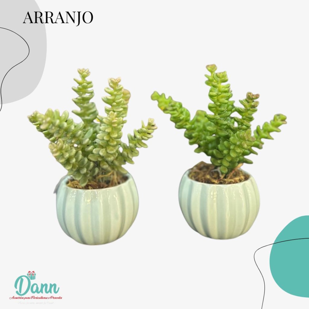 VASO CERÂMICA + SUCULENTA AP0045