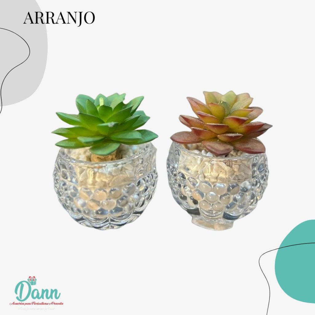 VASO + SUCULENTA 