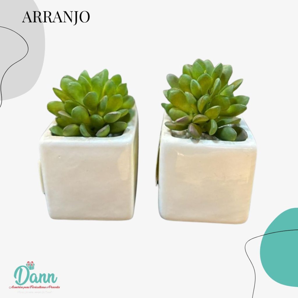 VASO + SUCULENTA 