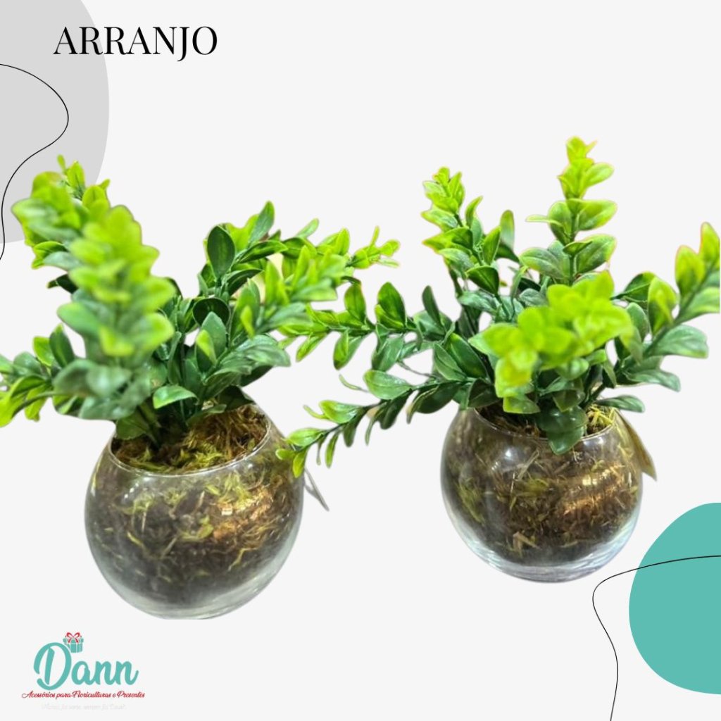 VASO + FOLHAS 