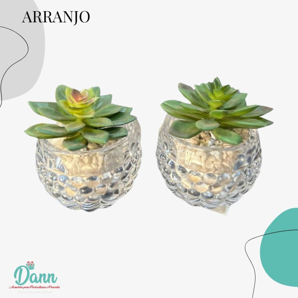 VASO + SUCULENTA 