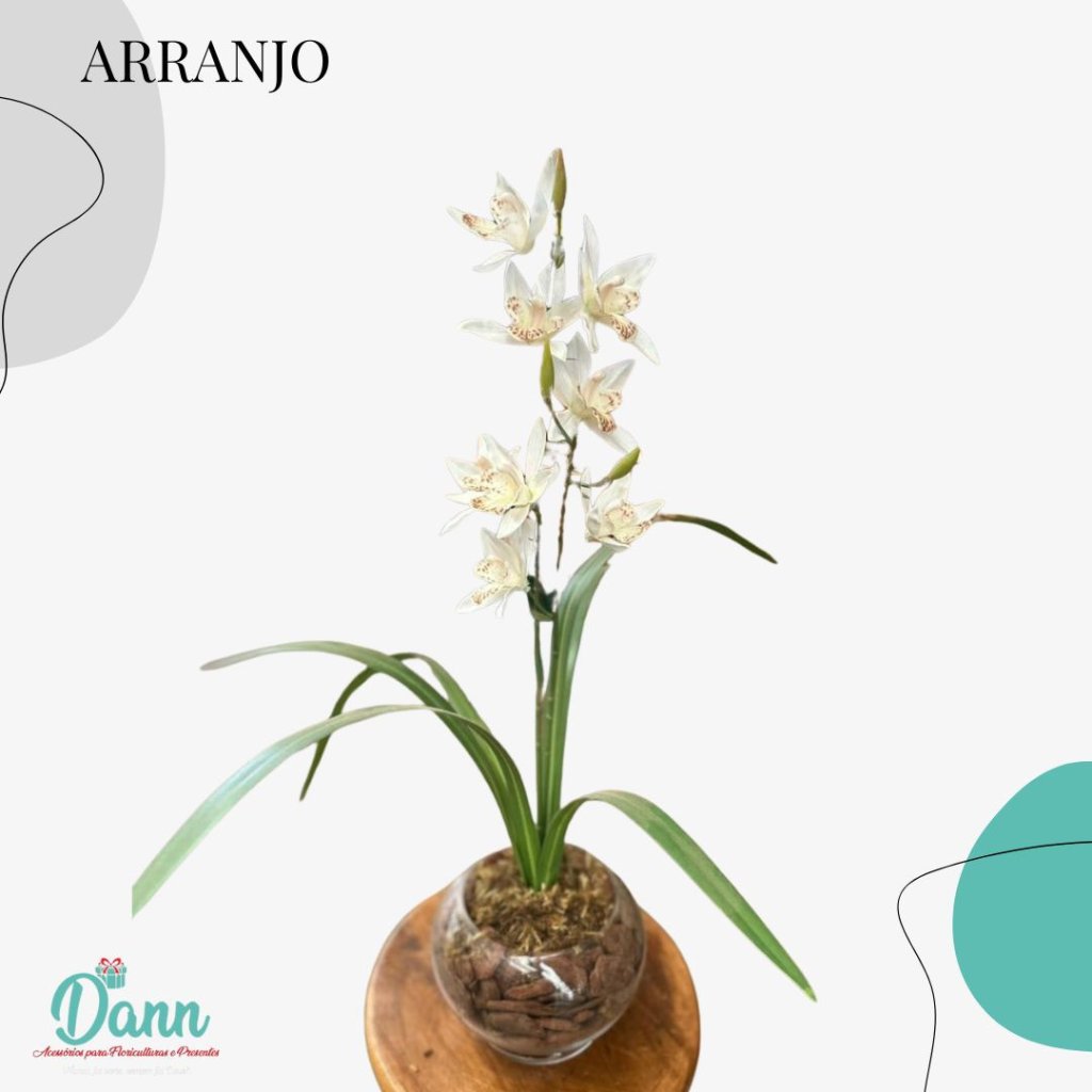 VASO + CYMBIDIUM