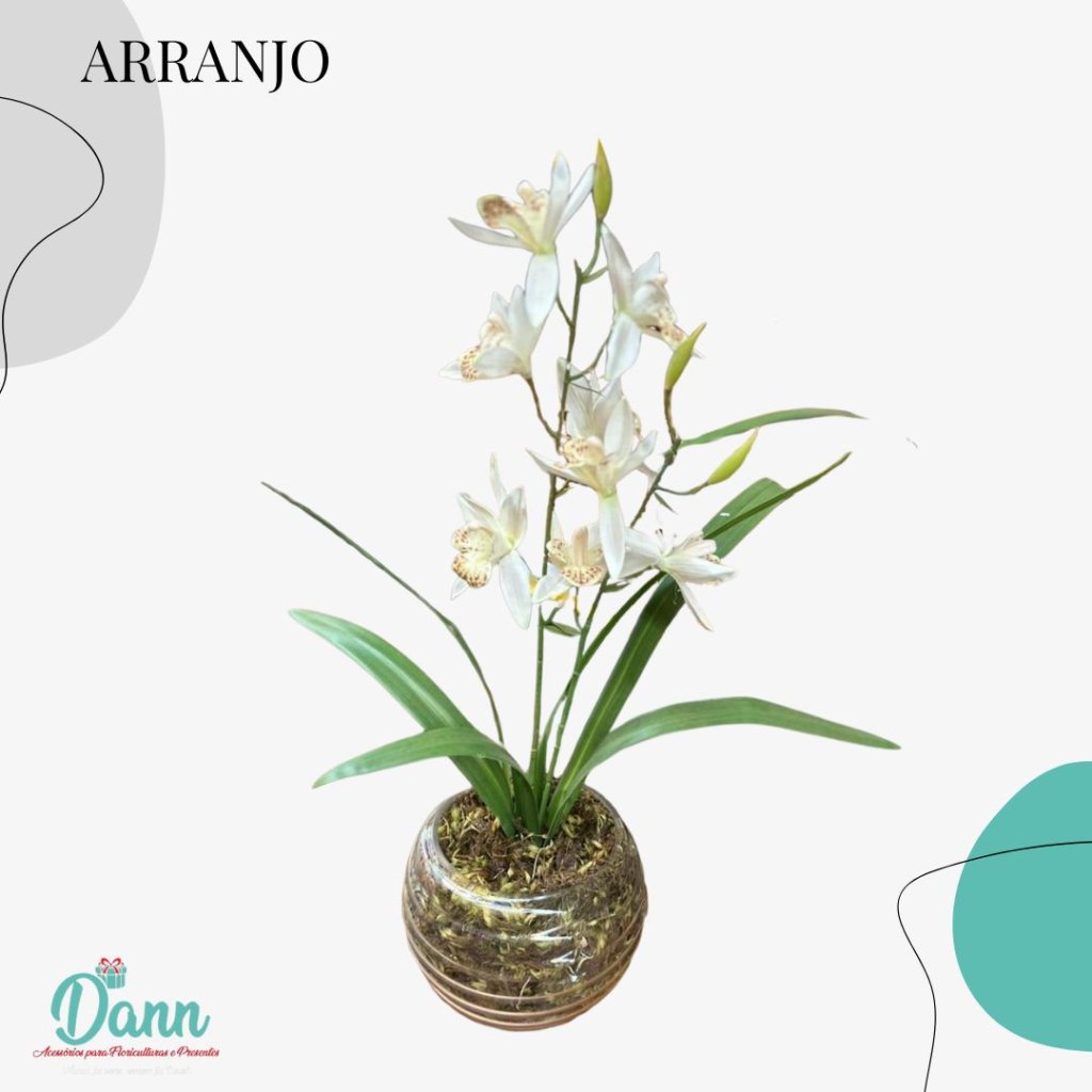 VASO + CYMBIDIUM 