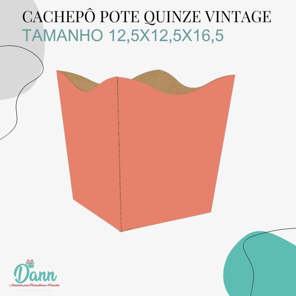 CACHEPO PAPER VINTAGE POTE 15 NUDE C/10 REF 1776