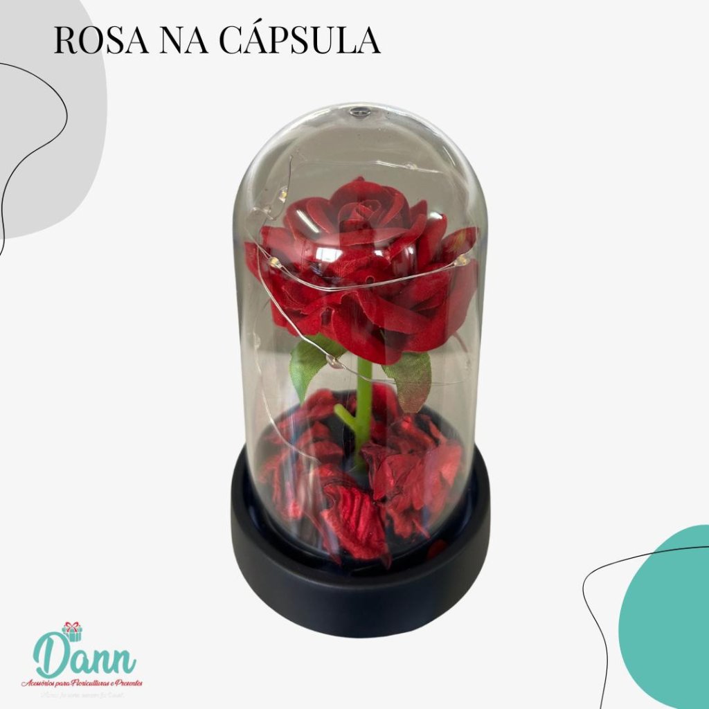 ROSAS NA CUPULA C/ LED 14X8