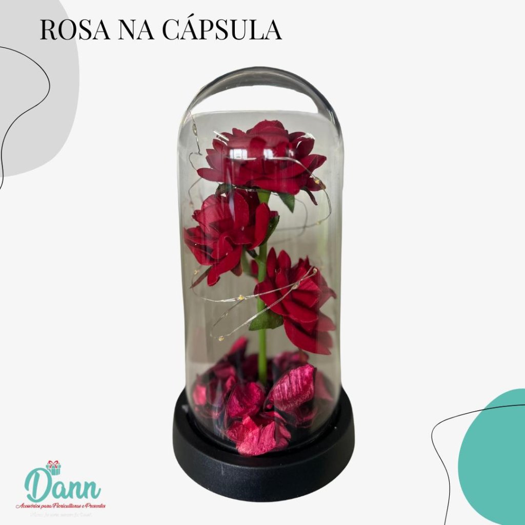 ROSAS NA CUPULA C/ LED 21X11