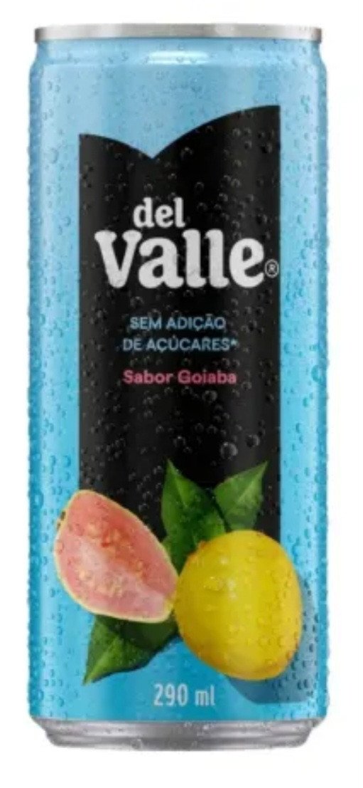 Del Valle Goiaba 290ml  SEM AÇÚCAR 
