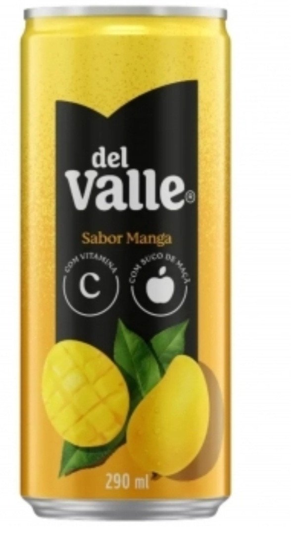 Del Valle Manga 290ml 