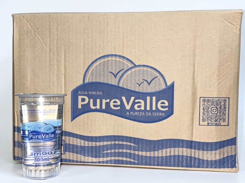 Agua copo 300ml Pure Valle 