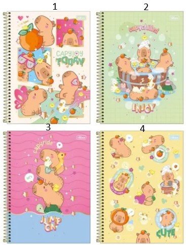 CADERNO ESPIRAL CAPA DURA 1/4 CAPYCLUB TILIBRA