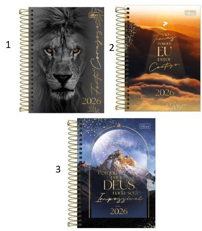 Agenda 2026 Louvor 208 folhas - Tilibra