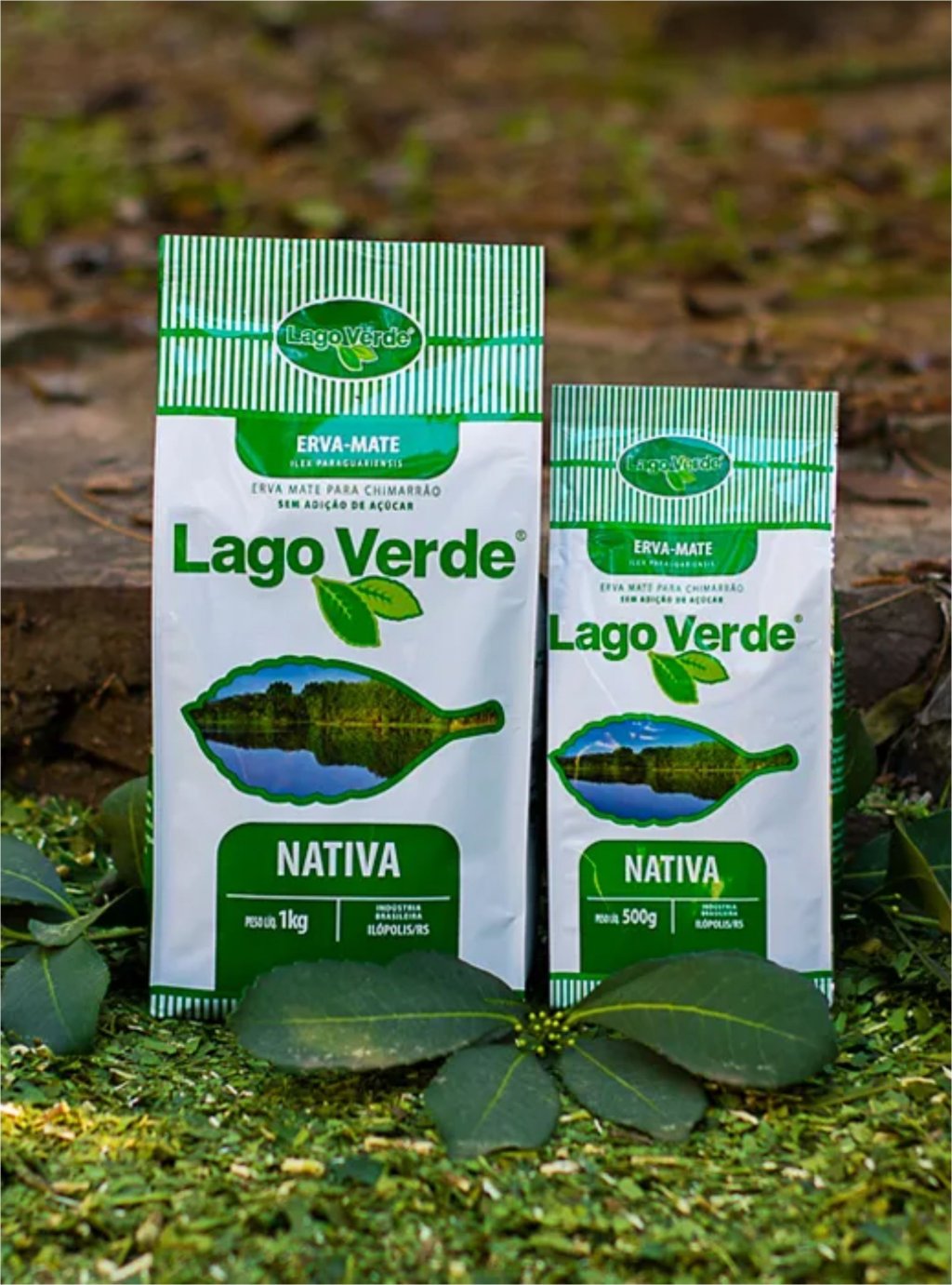 ERVA MATE LAGO VERDE NATIVA 500g