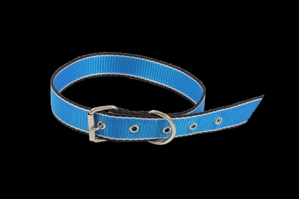 Coleira Cadarço Listrada D&G