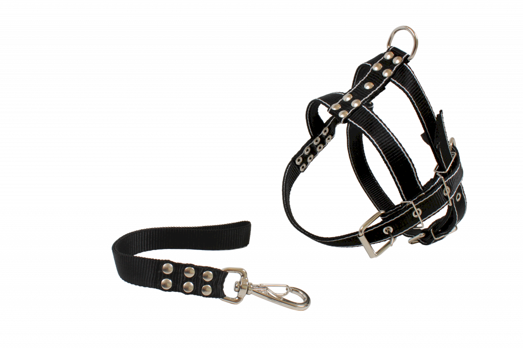 Conjunto Guia Peitoral Grande Porte D&G