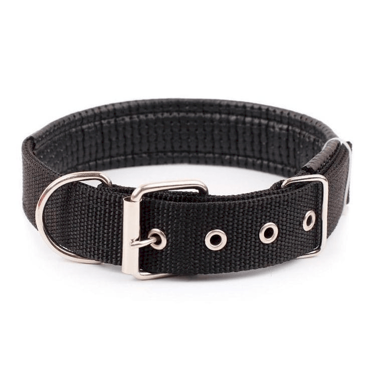 Coleira Nylon D&G