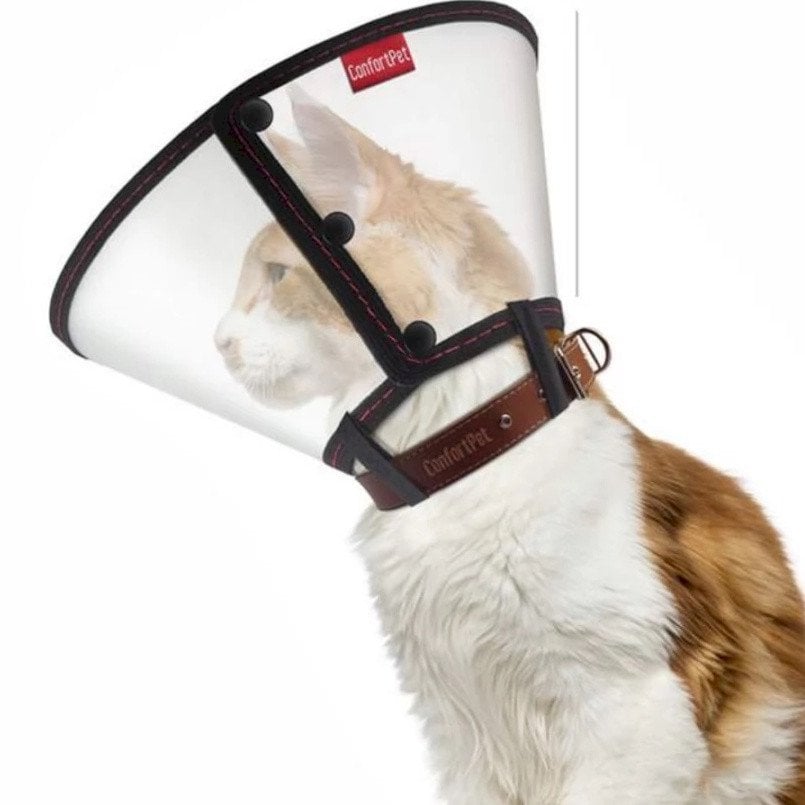 Colar Elizabetano Gato Un ConfortPet