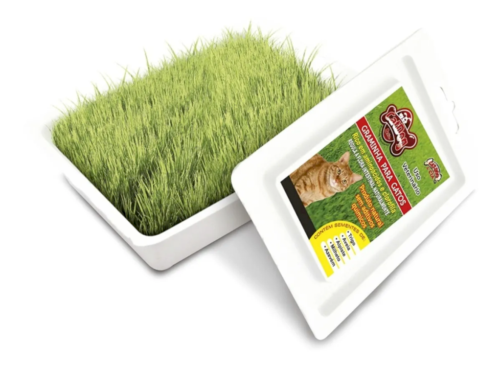 Graminha para Gatos 50g CatDog