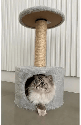 Arranhador Toca ZCATT