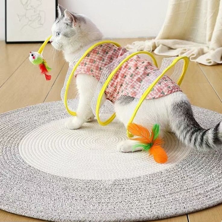 Brinquedo Tunel Mola Maluca Elo