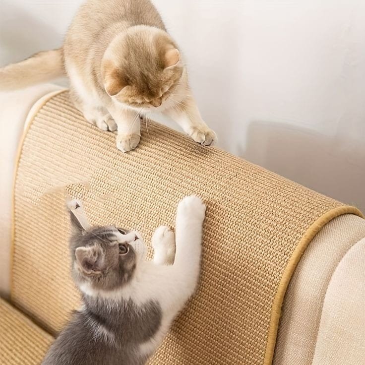 Tapete Arranhador 40,5 x 60cm G Elo - COD:2947