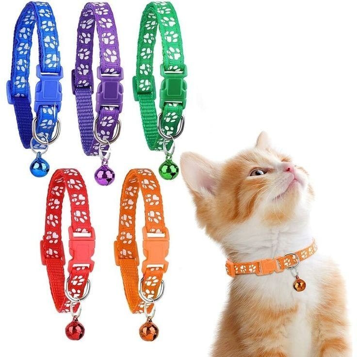 Cartela Coleira Patinha Guizo 