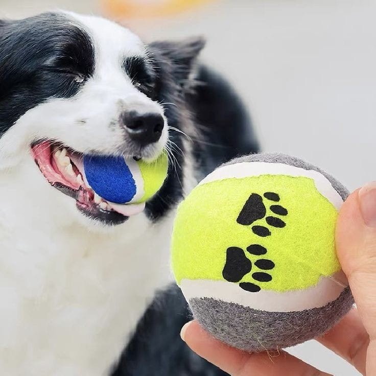 Brinq Bola Tenis C/2un SUTT