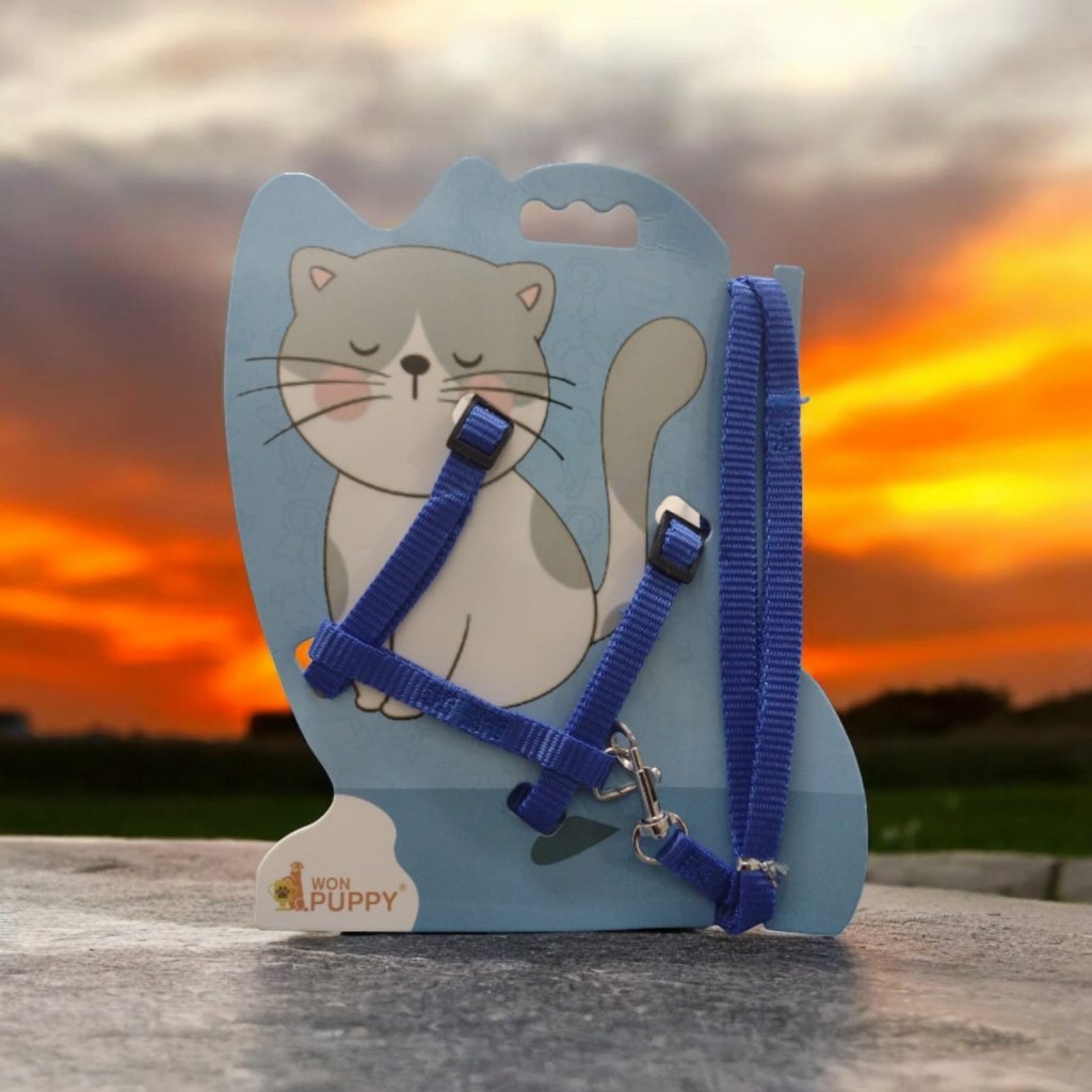 COLEIRA CAT DOGS ERA 