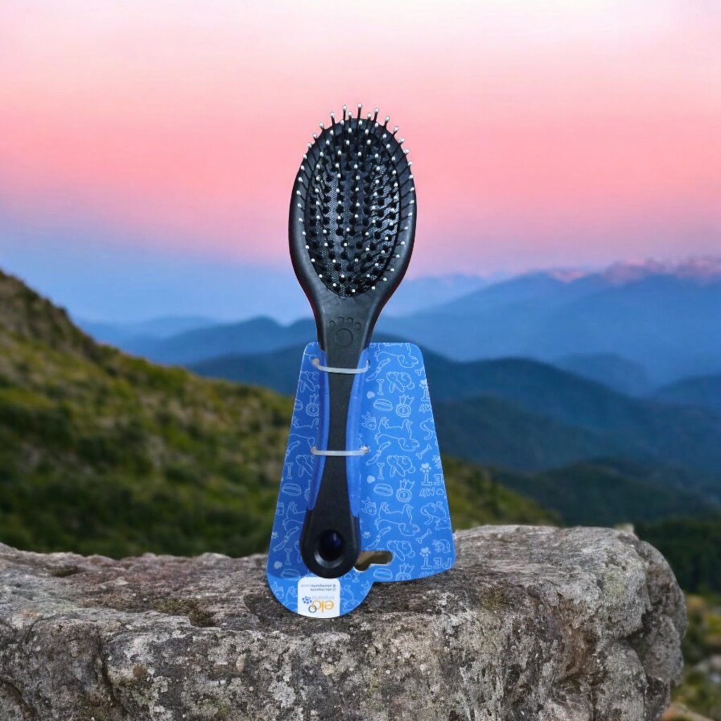 ESCOVA DUPLA PLASTICO ELO