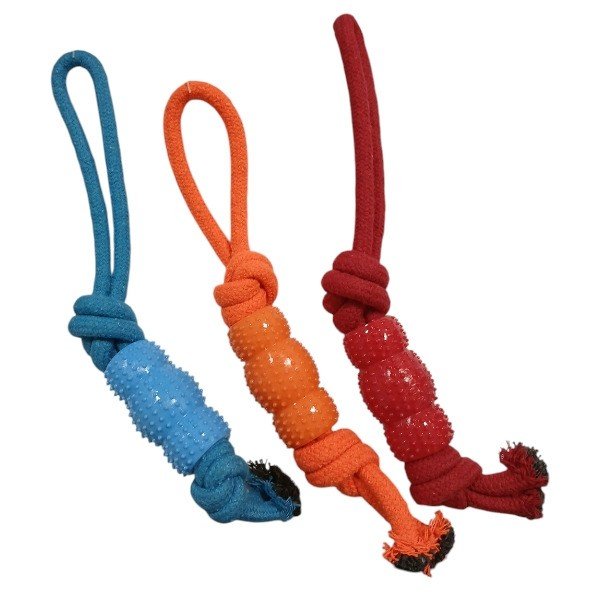 Dog Corda Riff BOM AMIGO