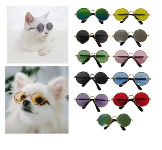 Óculos De Sol Lennon DOGSERA