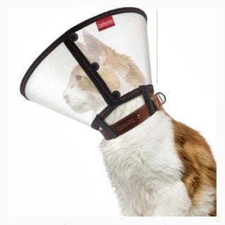 Colar Elizabetano Gato Conjunto PP ao GG ConfortPet