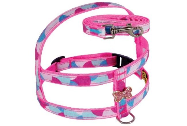 Conj Peitoral Nylon Catania COLTELLI