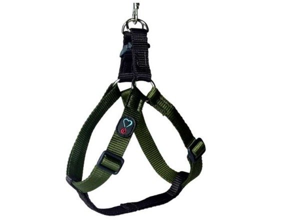 Conj Peitoral Walking Mung Liso COLTELLI