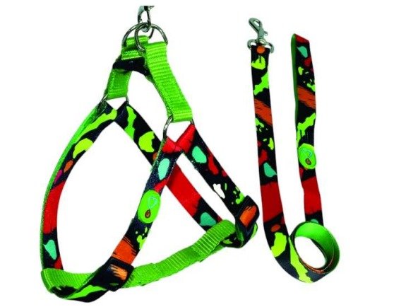 Conj Peitoral Walking Trieste COLTELLI