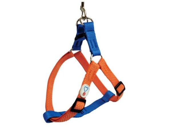 Conj Peitoral Walking Poa LRJ COLTELLI