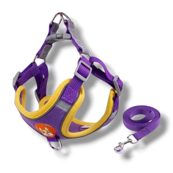 Peitoral C/ Guia Colete Dogs Era