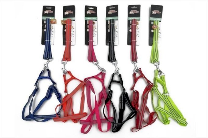 Peitoral c/ Guia Dog Refletiva Night Bom Amigo