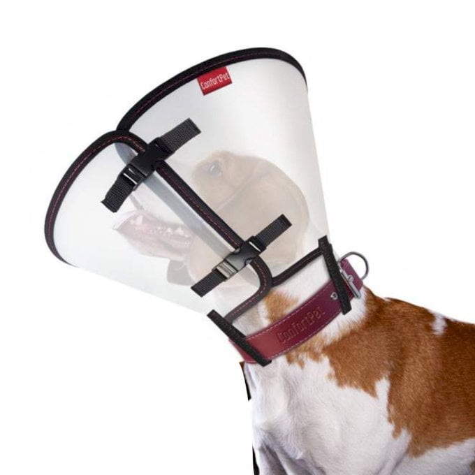 Colar Elizabetano Dog ConfortPet