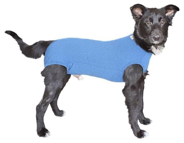 Roupa Macho Pós Cirurgica Azul ConfortPet