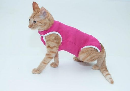 Roupa Pós Cirúrgica Gato Pink ConfortPet