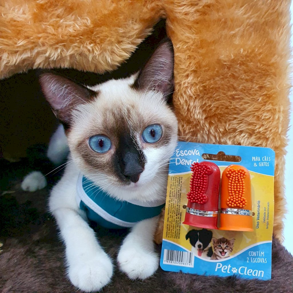 Solapa Dedeira 2un Pet Clean