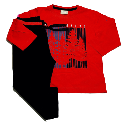 CONJUNTO INVERNO MILON TAMANHO 01