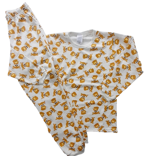PIJAMA INVERNO TAMANHO 12